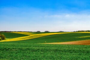 Read more about the article Commitment to Responsible Chemical Manufacturing